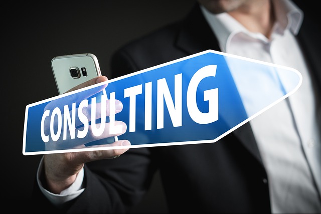 Consulting
